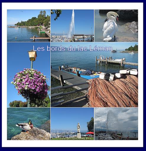 Cliquez pour agrandir l'image