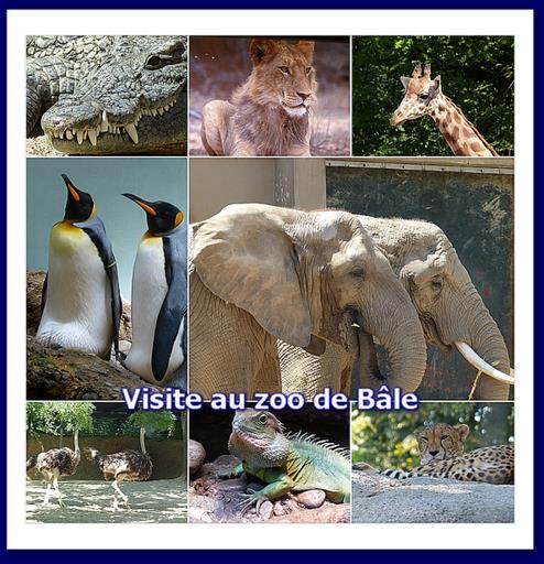 Cliquez pour agrandir l'image