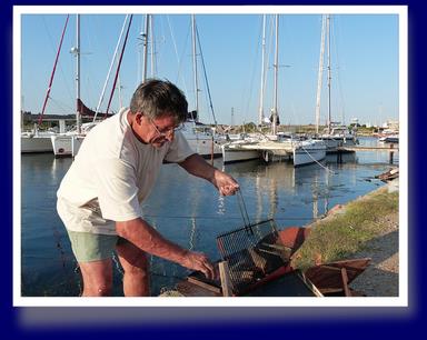 Cliquez pour agrandir l'image