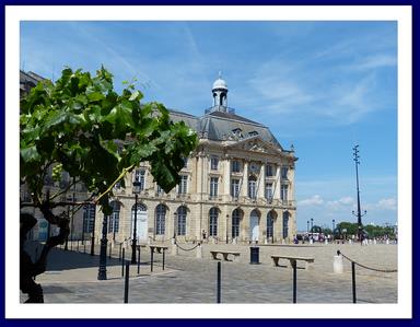 Cliquez pour agrandir l'image