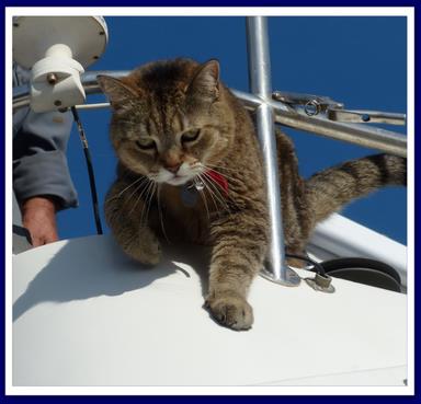 Cliquez pour agrandir l'image