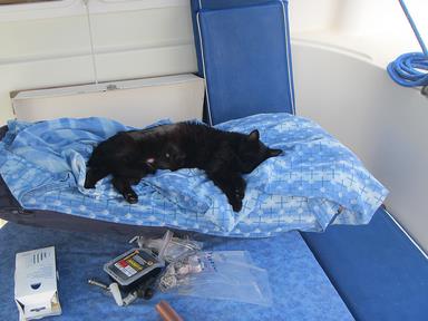 Cliquez pour agrandir l'image