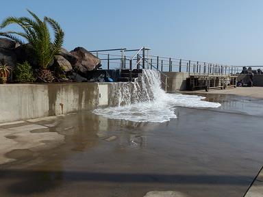 Cliquez pour agrandir l'image