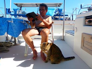 Cliquez pour agrandir l'image