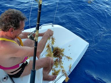 Cliquez pour agrandir l'image