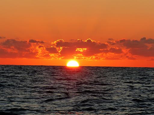 Cliquez pour agrandir l'image