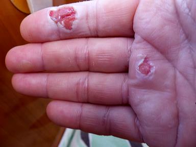 Cliquez pour agrandir l'image