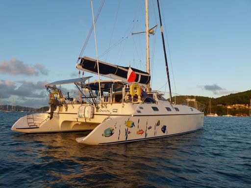 Cliquez pour agrandir l'image