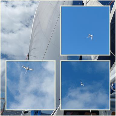 Cliquez pour agrandir l'image