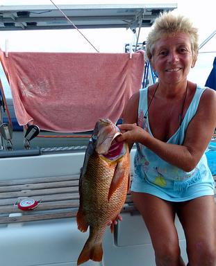 Cliquez pour agrandir l'image