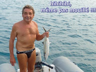 Cliquez pour agrandir l'image