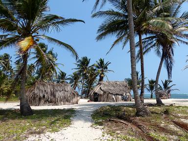 Cliquez pour agrandir l'image