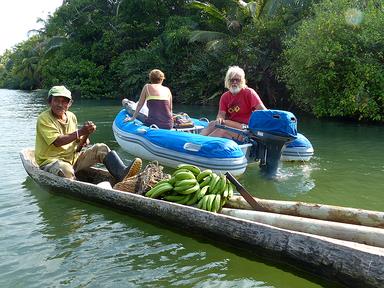 Cliquez pour agrandir l'image