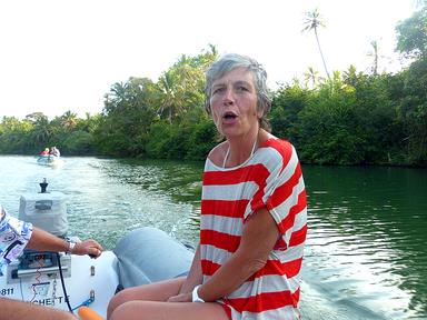 Cliquez pour agrandir l'image