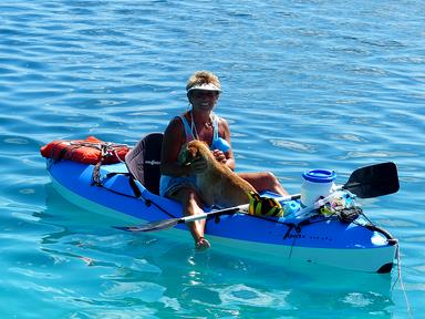 Cliquez pour agrandir l'image