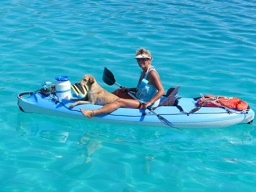 Cliquez pour agrandir l'image