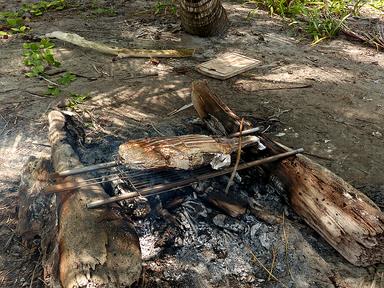 Cliquez pour agrandir l'image