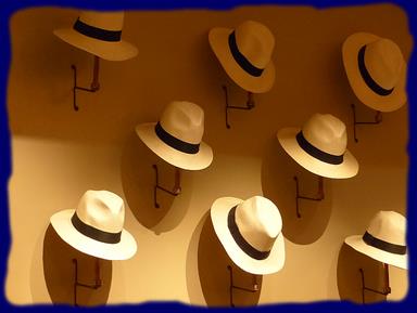 Cliquez pour agrandir l'image