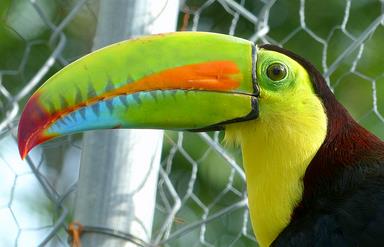 Cliquez pour agrandir l'image