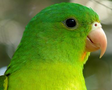 Cliquez pour agrandir l'image