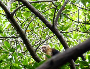 Cliquez pour agrandir l'image