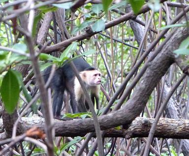 Cliquez pour agrandir l'image