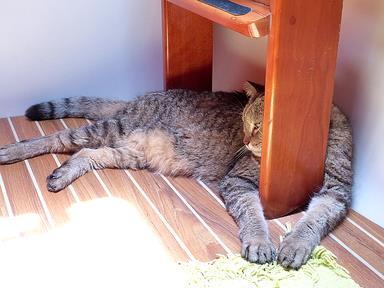 Cliquez pour agrandir l'image