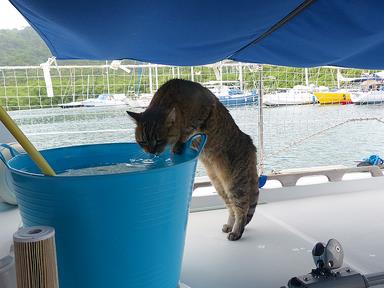 Cliquez pour agrandir l'image