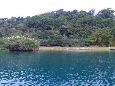 Cliquez pour agrandir l'image