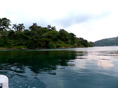 Cliquez pour agrandir l'image