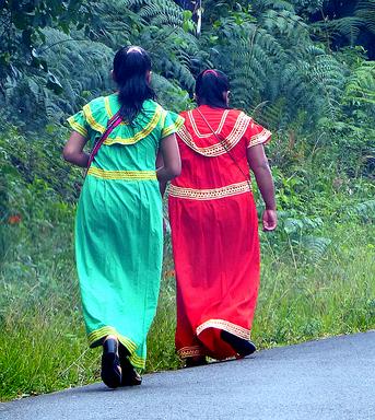 Cliquez pour agrandir l'image