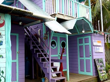 Cliquez pour agrandir l'image