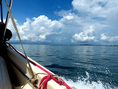 Cliquez pour agrandir l'image