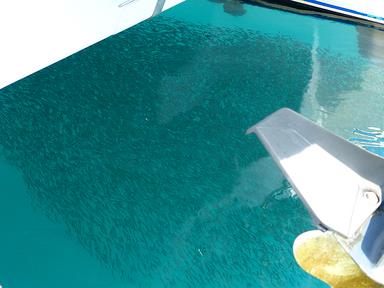 Cliquez pour agrandir l'image