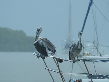 Cliquez pour agrandir l'image