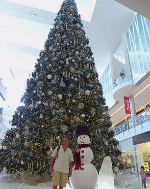 Cliquez pour agrandir l'image