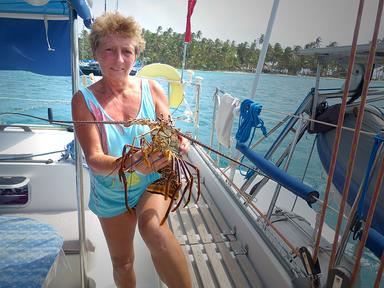 Cliquez pour agrandir l'image