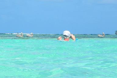 Cliquez pour agrandir l'image