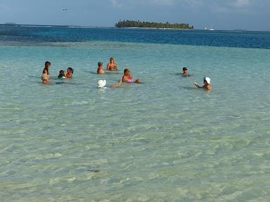 Cliquez pour agrandir l'image