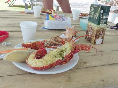 Cliquez pour agrandir l'image