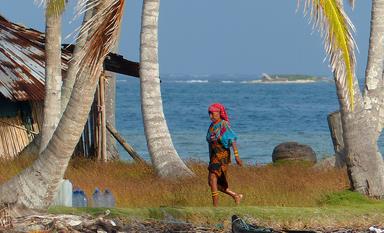 Cliquez pour agrandir l'image