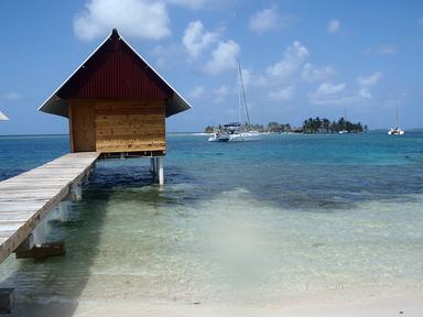 Cliquez pour agrandir l'image