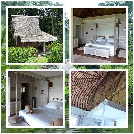 Cliquez pour agrandir l'image