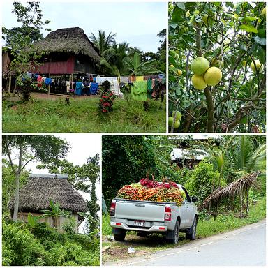 Cliquez pour agrandir l'image
