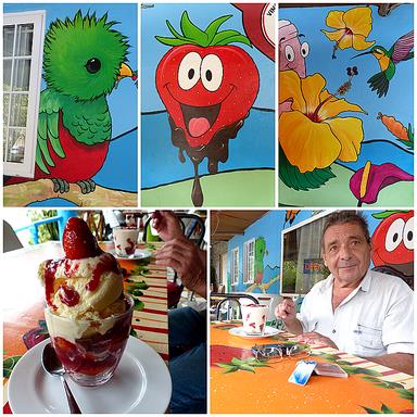 Cliquez pour agrandir l'image