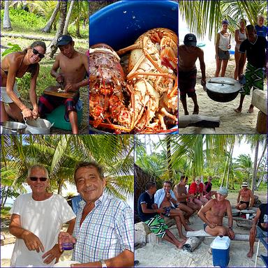 Cliquez pour agrandir l'image