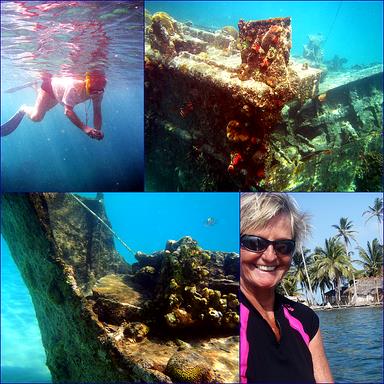 Cliquez pour agrandir l'image