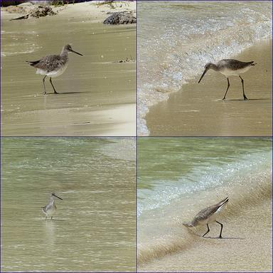 Cliquez pour agrandir l'image