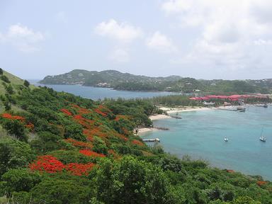 Cliquez pour agrandir l'image