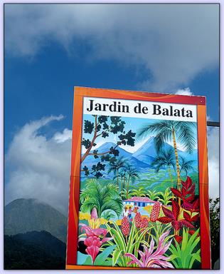 Cliquez pour agrandir l'image